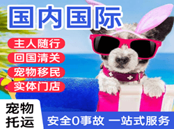 泸州云龙机场物流国际宠物托运 【国